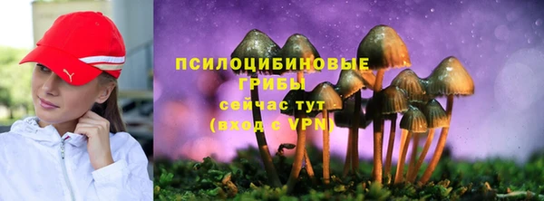 шишки Кодинск