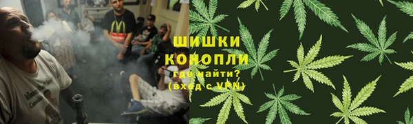 дживик Володарск