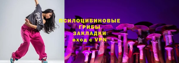 дживик Володарск