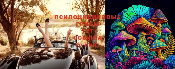 дживик Володарск